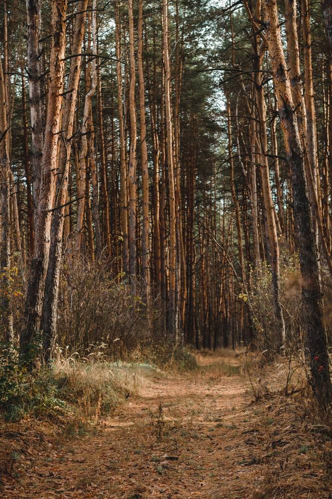 Photograph by Олеся Романова