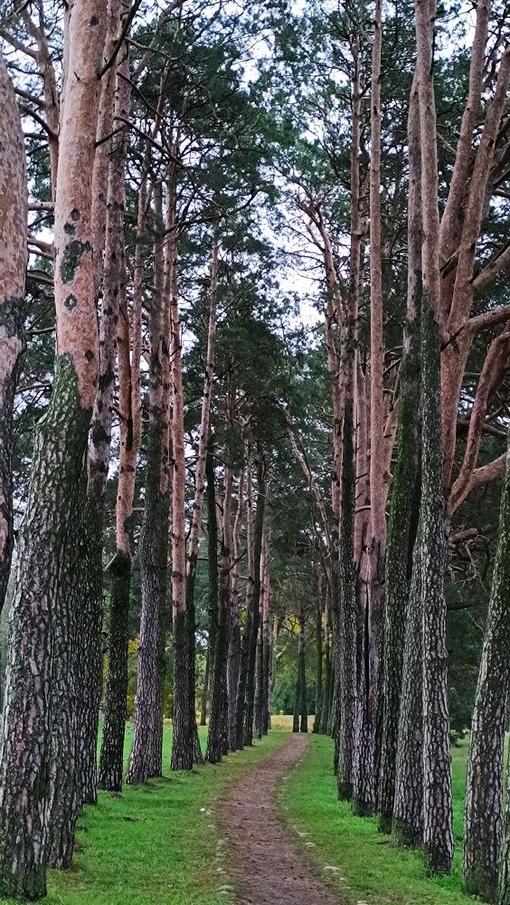 Photograph by Татьяна