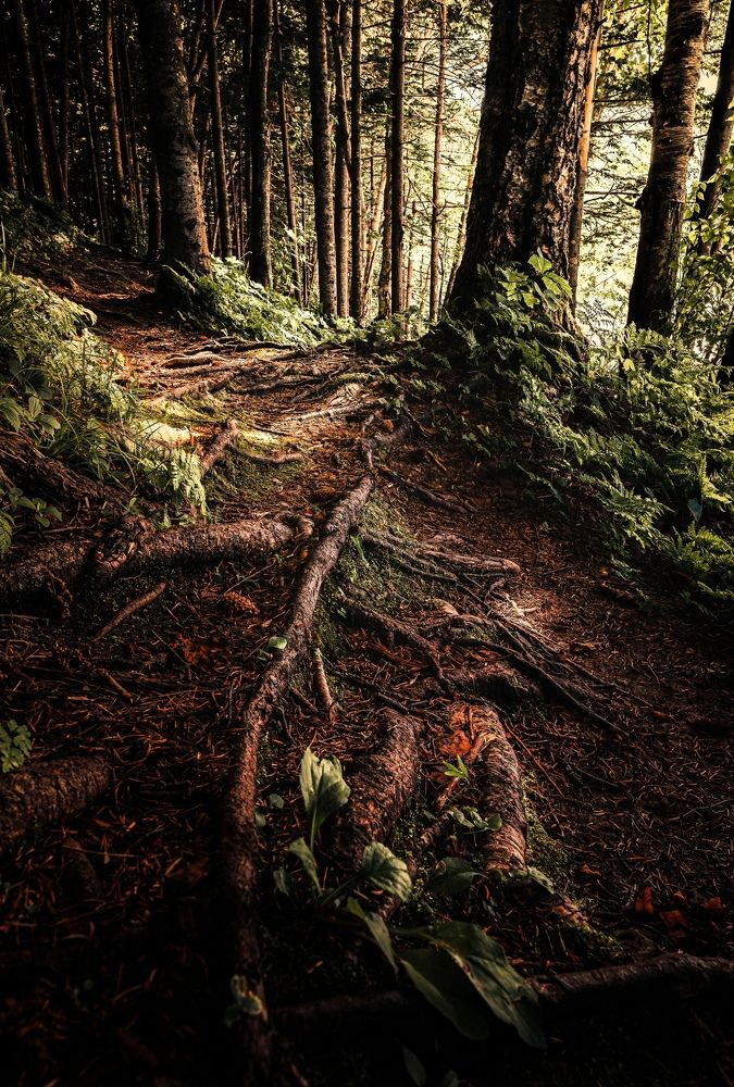 Photograph by Антон Сидоров