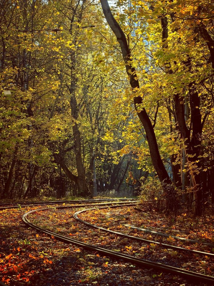 Photograph by Анна Епанчинцева