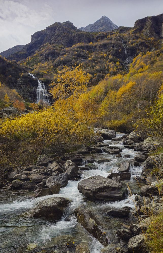 Photograph by Пирог Борис