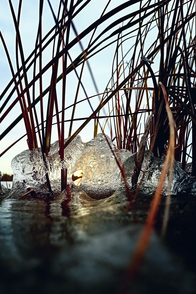 Photograph by Александр Слепцов