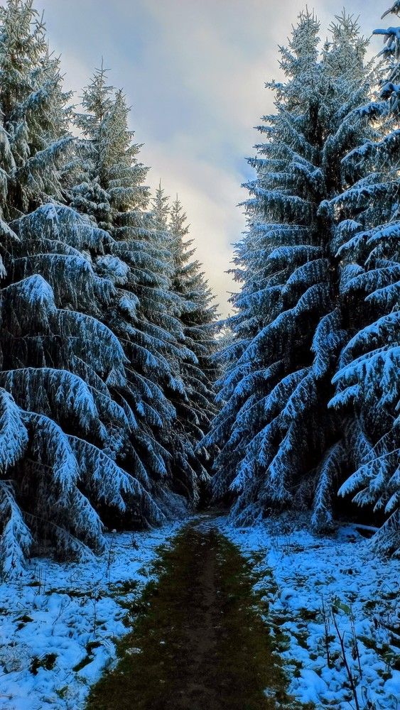 Photograph by Александр