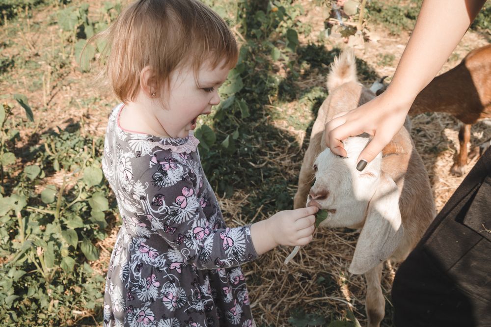 Photograph by Олеся Романова