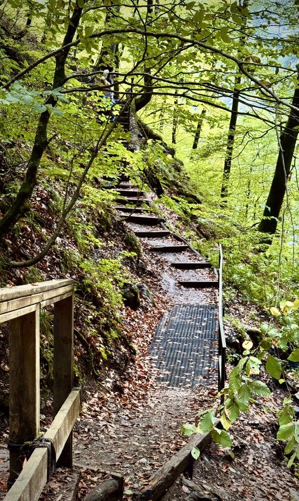 Фотография автора Игорь Плешков