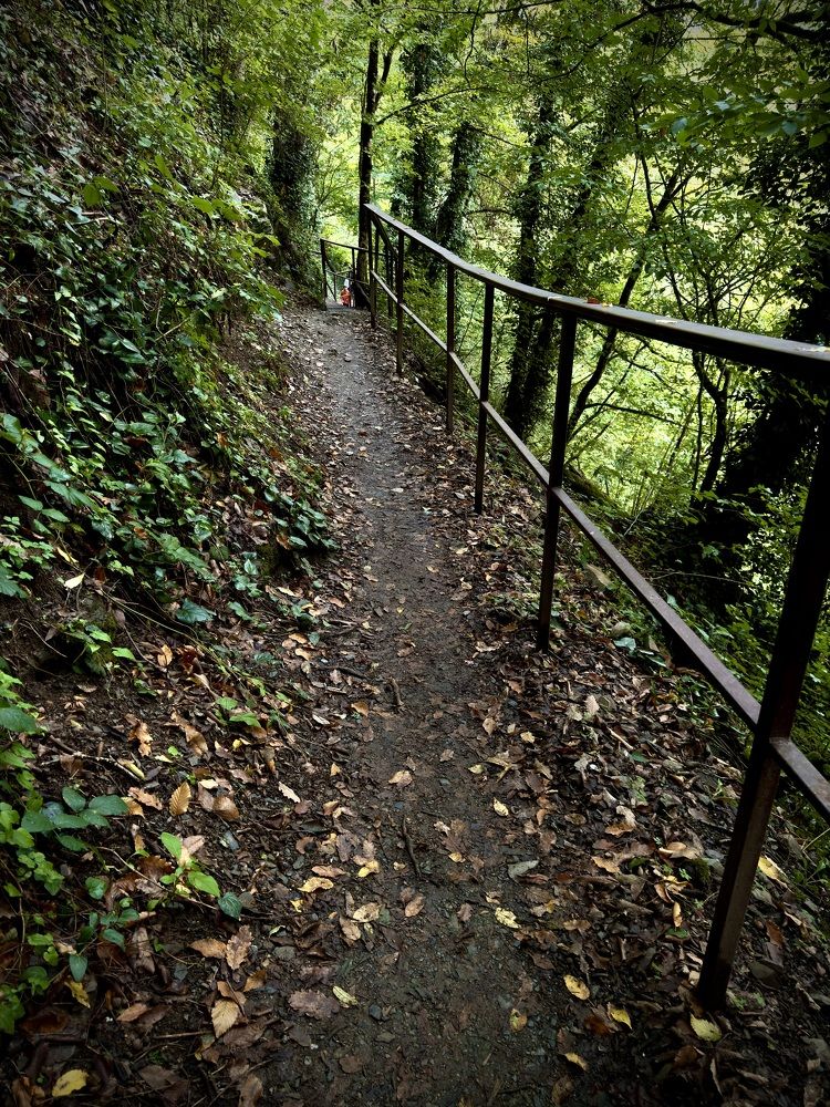 Фотография автора Игорь Плешков