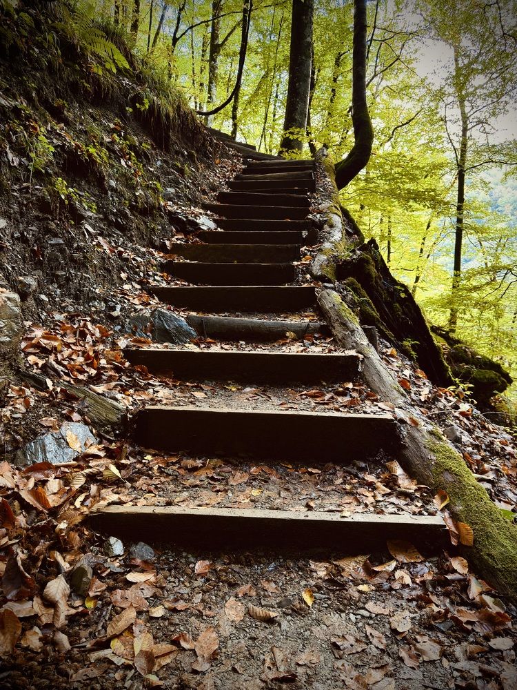 Фотография автора Игорь Плешков