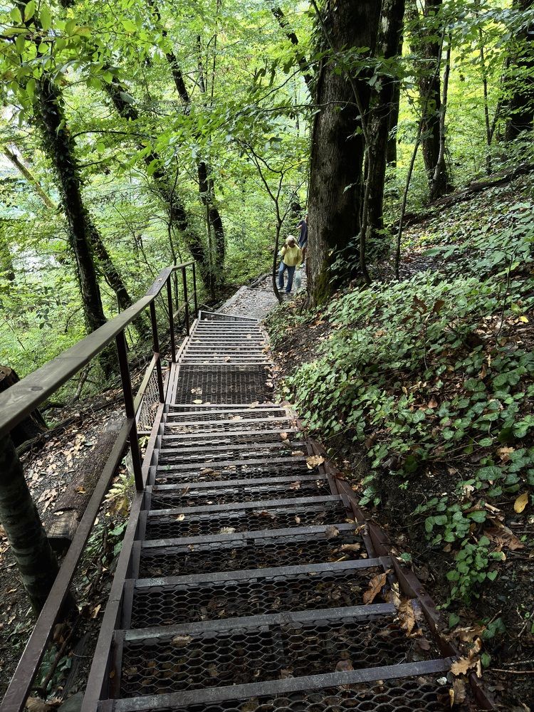 Фотография автора Игорь Плешков