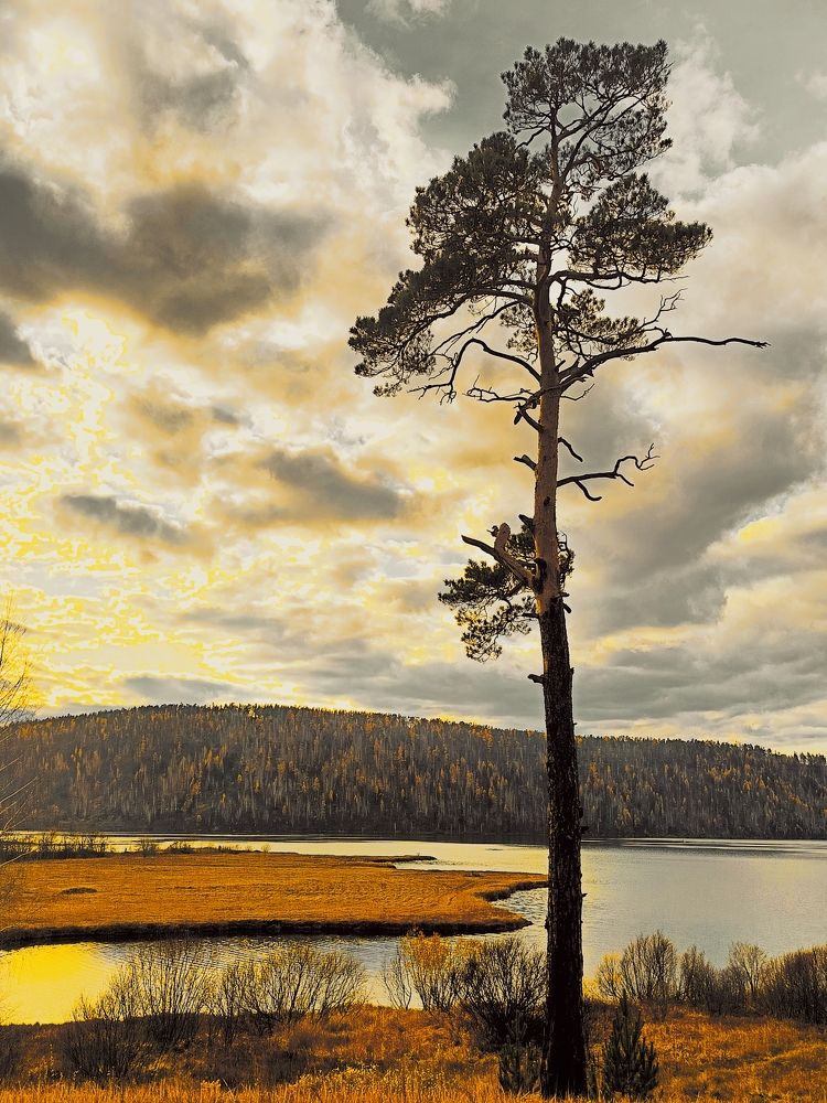 Photograph by Bin Mr.