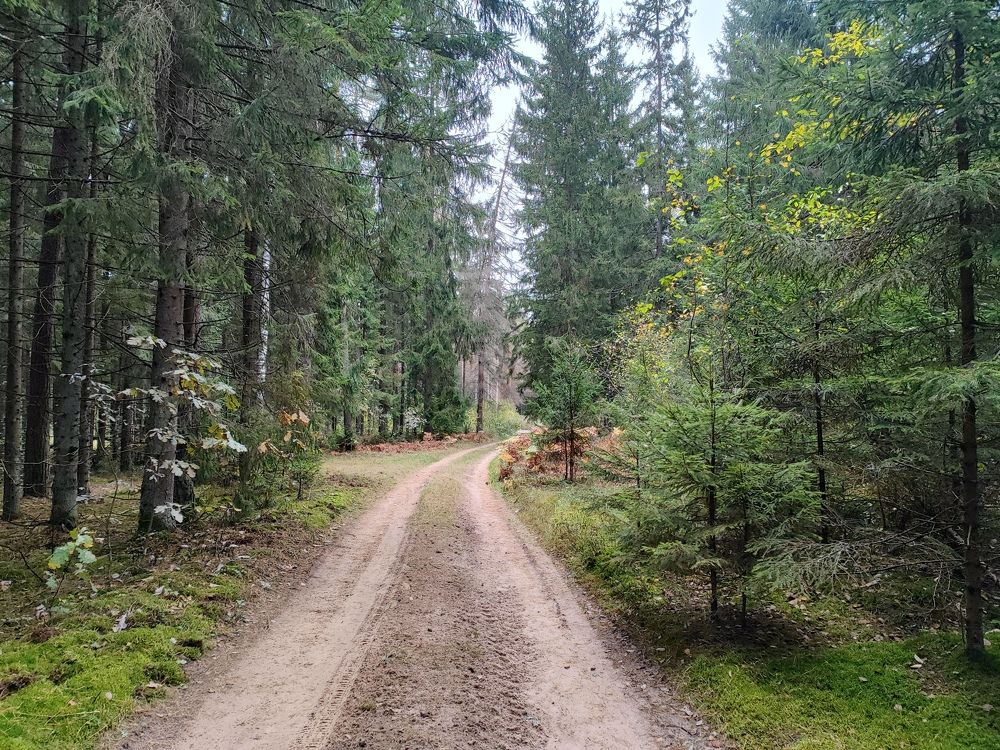 Photograph by Екатерина Борисовна Кузьмина