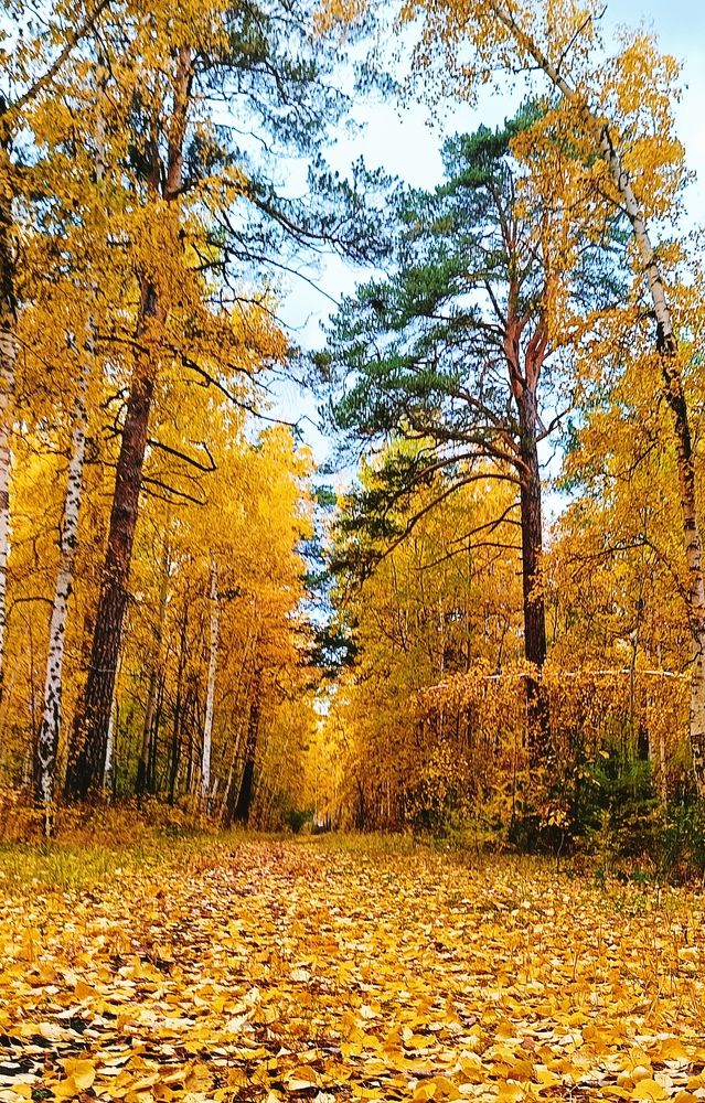 Photograph by Bin Mr.