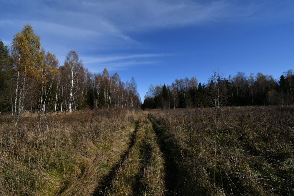 Photograph by Максим Рати