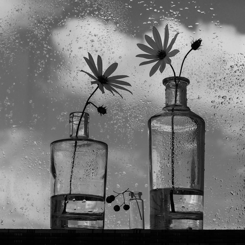 Без названия