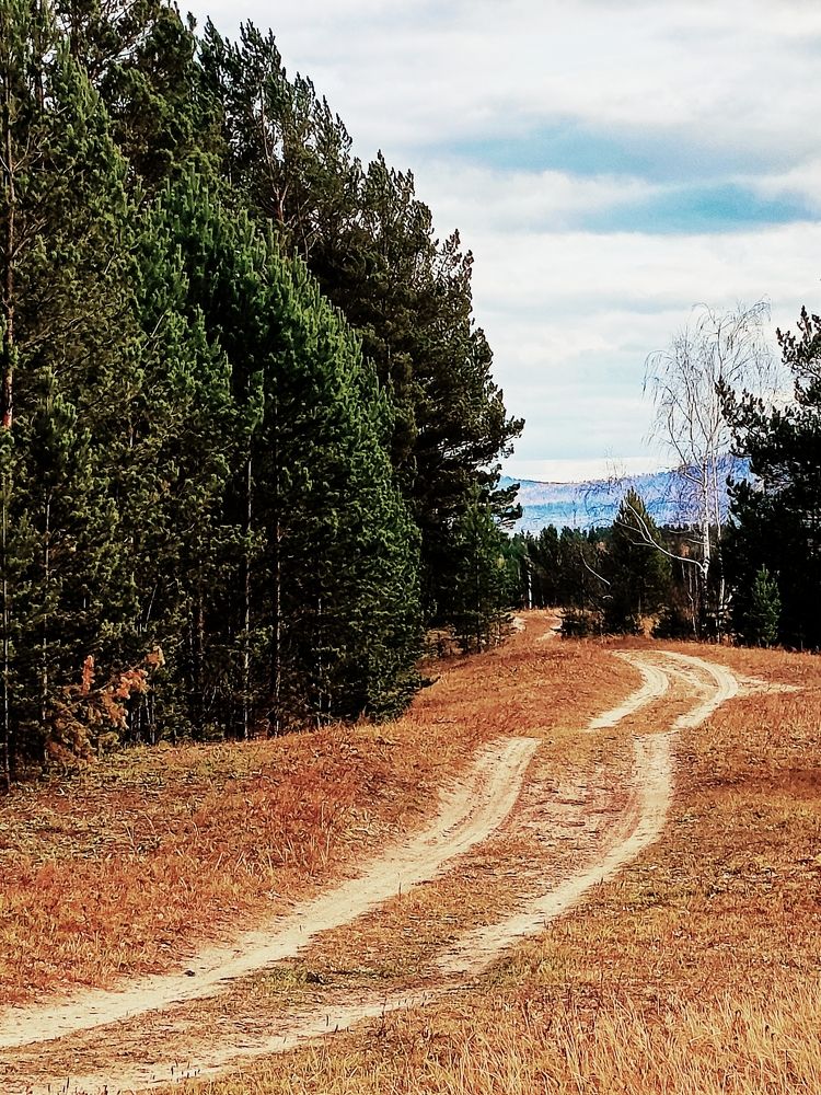 Photograph by Bin Mr.