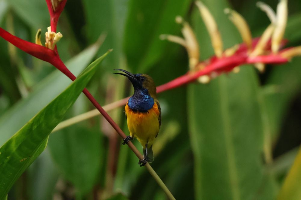 Photograph by DONG HAN CHIM