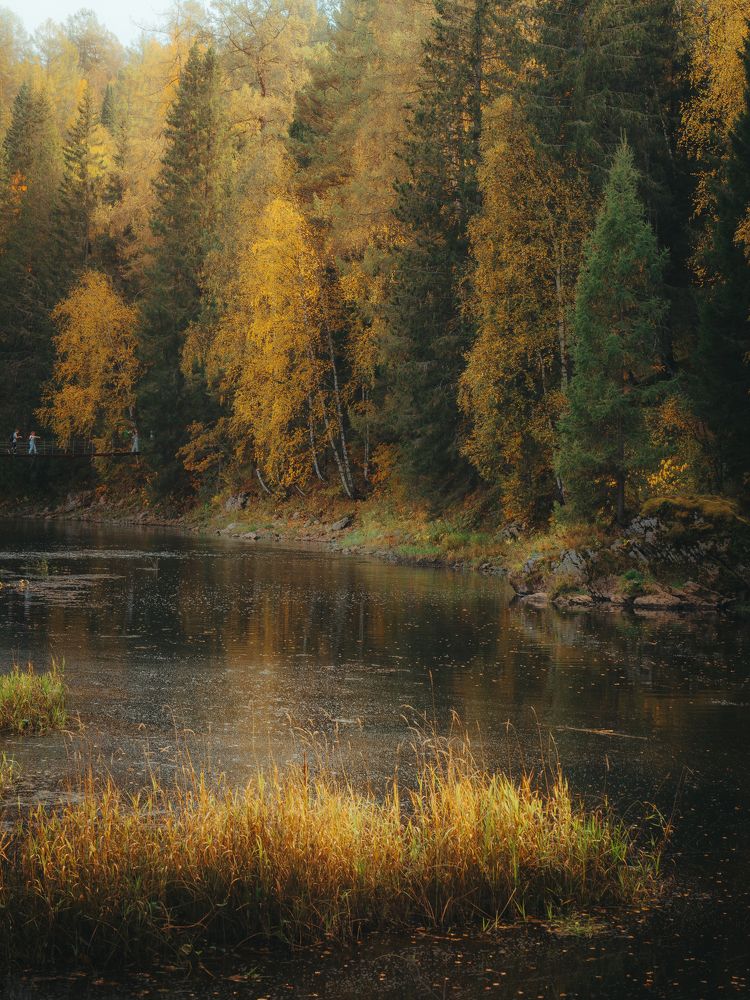 Фотография автора Вячеслав Бобин