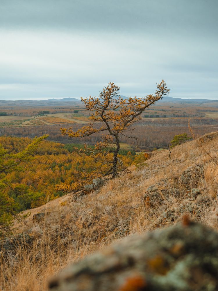 Фотография автора Вячеслав Бобин