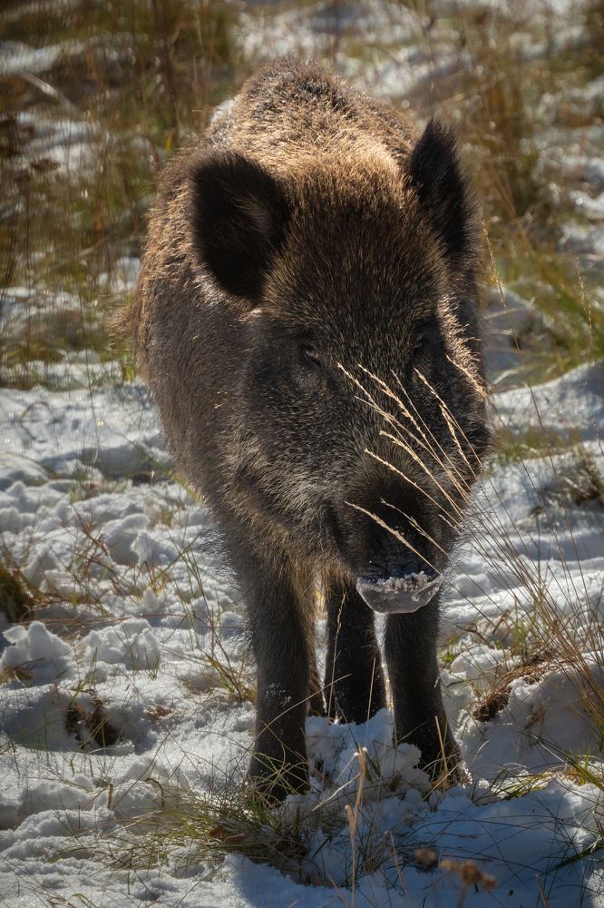 Photograph by Высотских Владимир