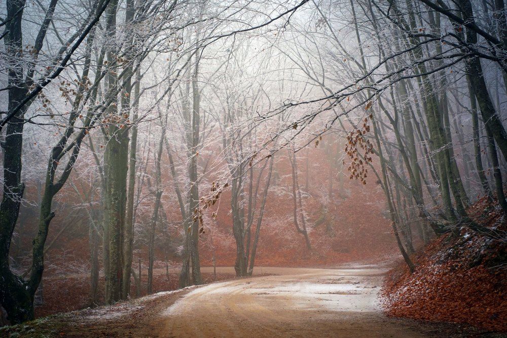 Photograph by Сергей Прокофьев