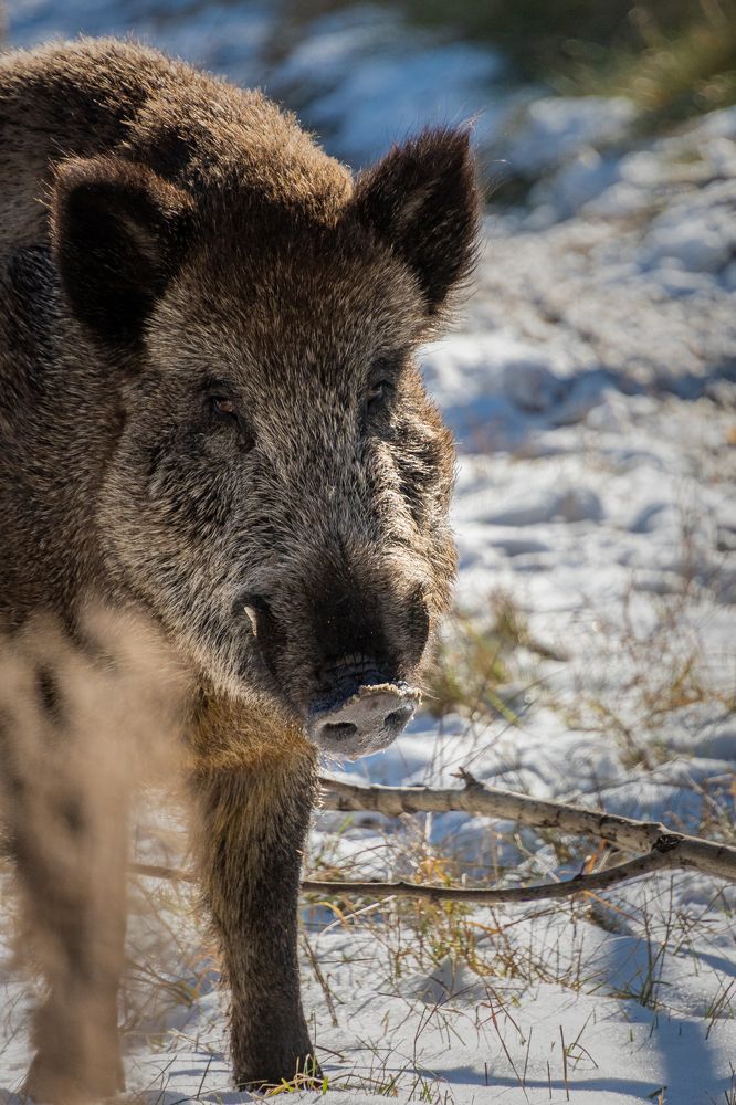 Photograph by Высотских Владимир