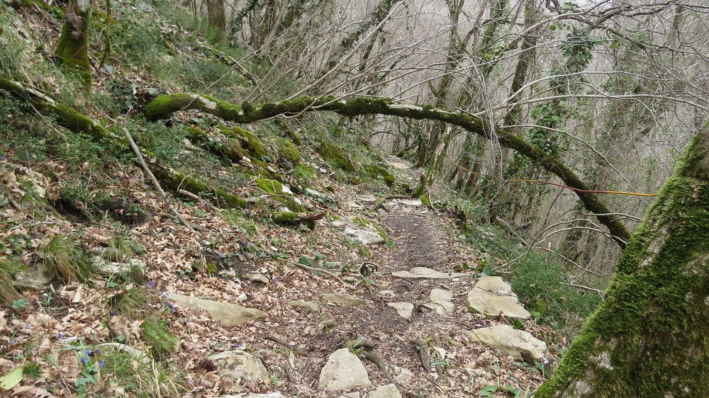 Photograph by Елена Казарина