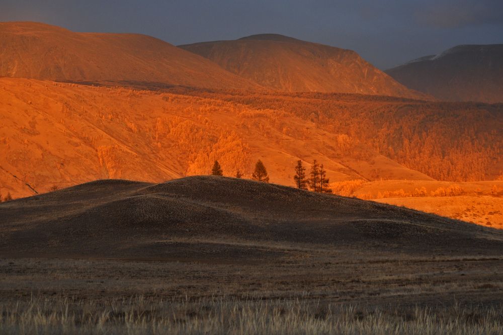 Photograph by Виталий Попов