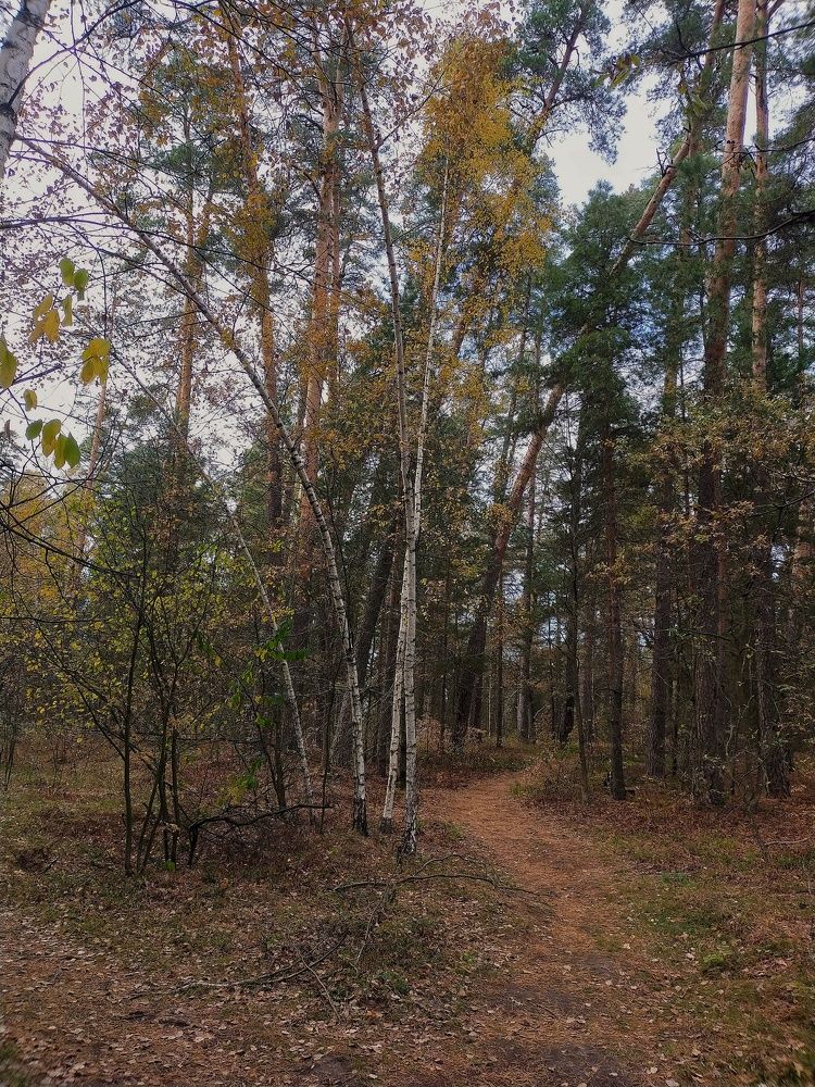 Photograph by Ольга Мартьянова