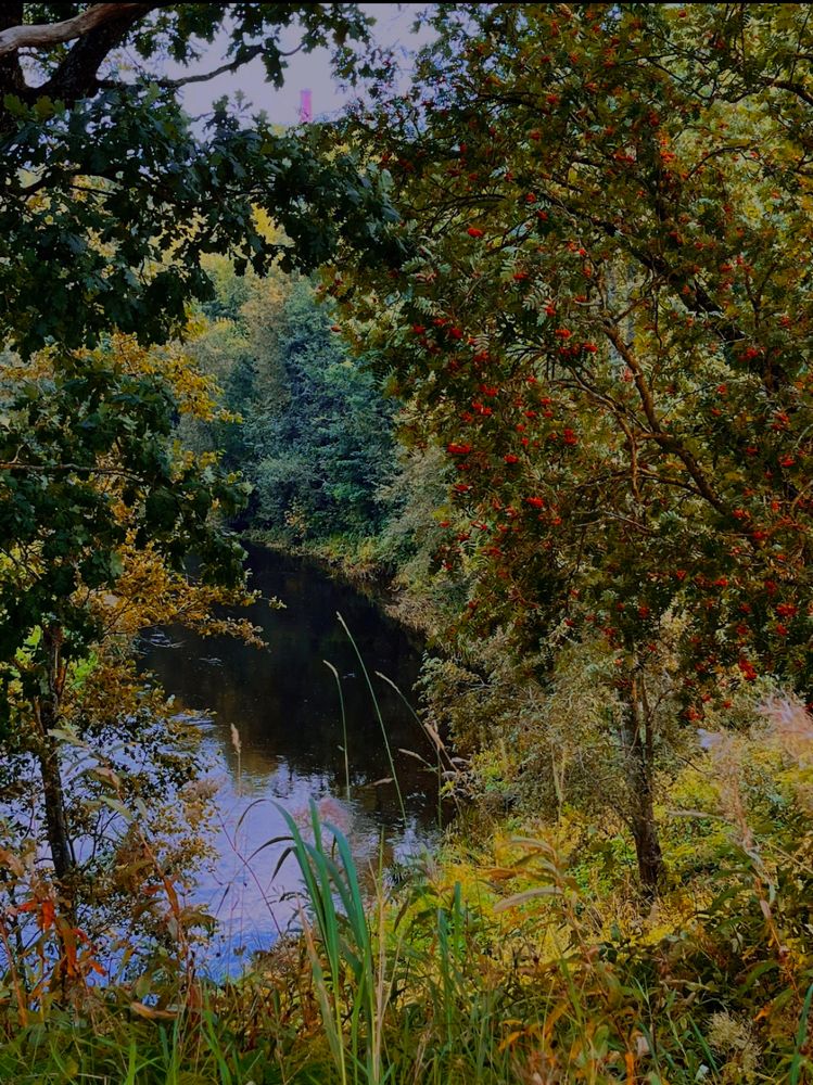 Photograph by Юлия