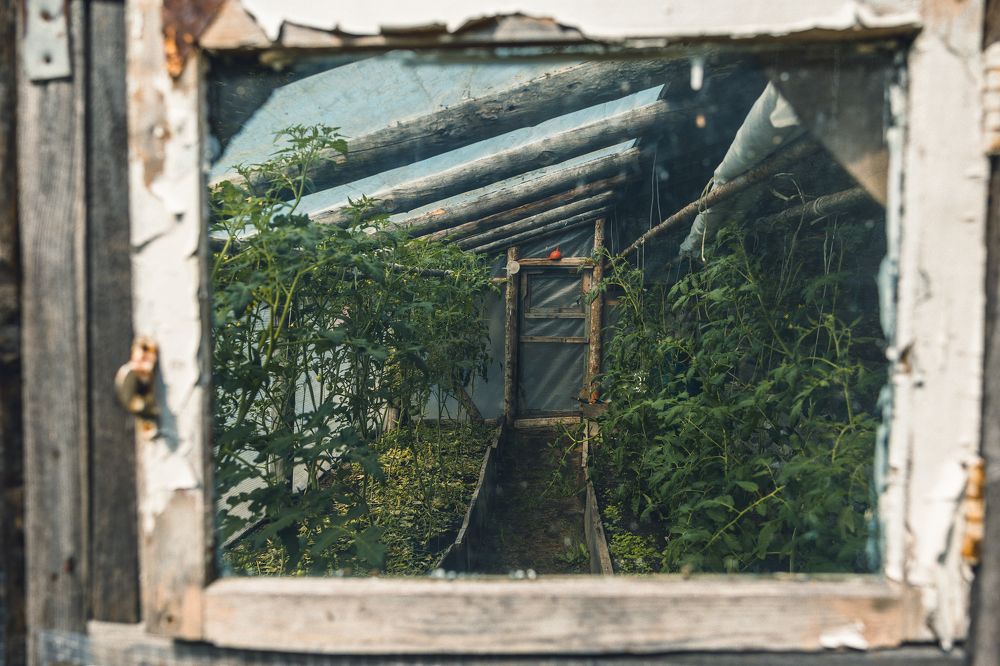 Photograph by Наталья Лапцевич