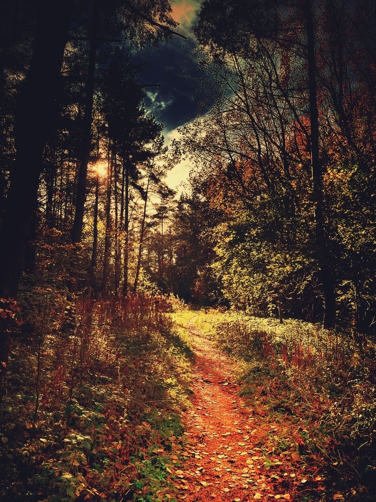 Photograph by Юлия