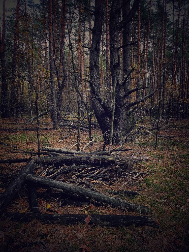 Photograph by Ольга Мартьянова