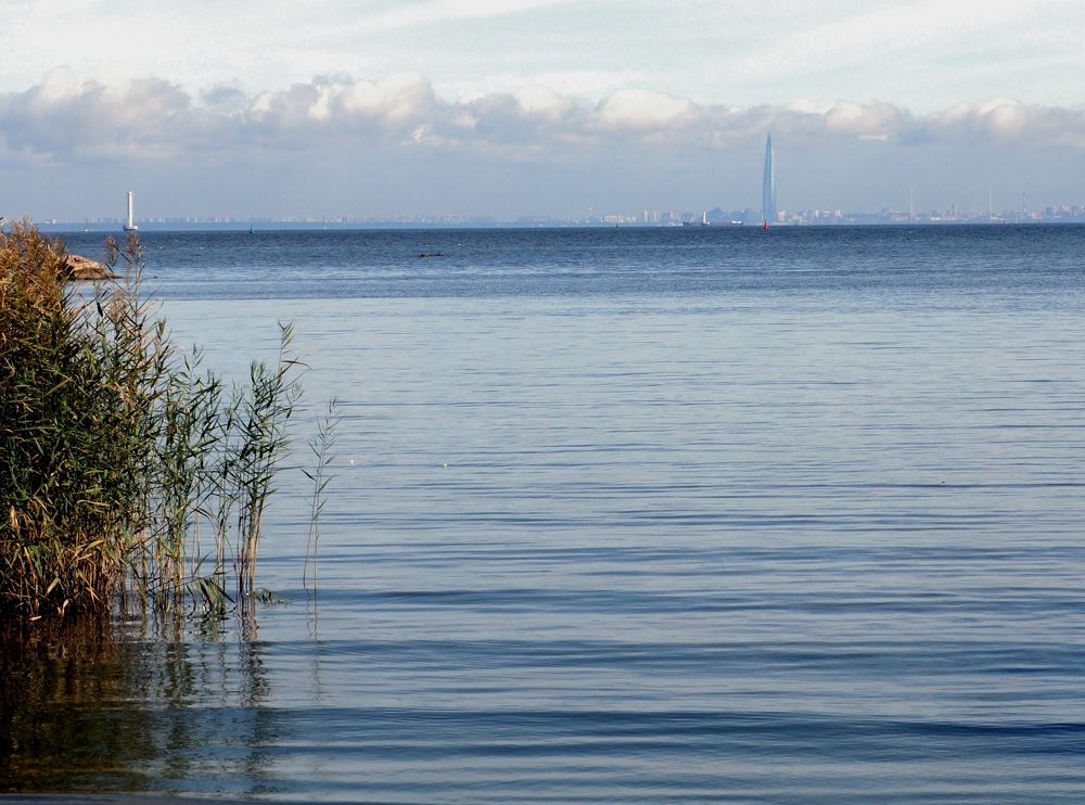 Мой Петергофф