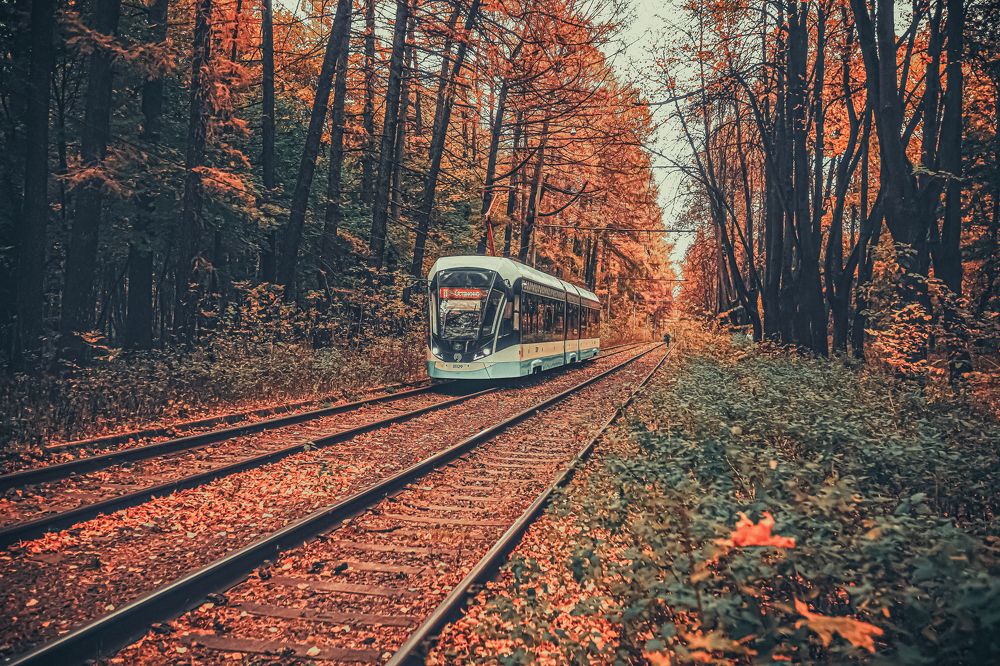 Photograph by Sergey Kudryashov