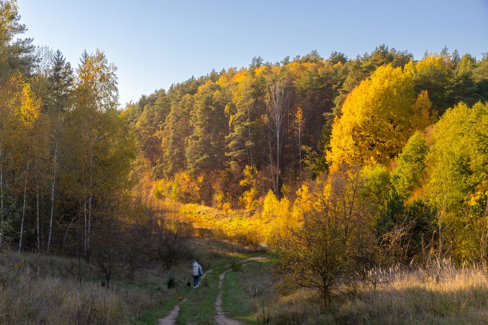 Photograph by Константин Чижов