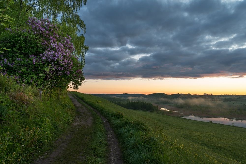 Photograph by Roman Dmitriev