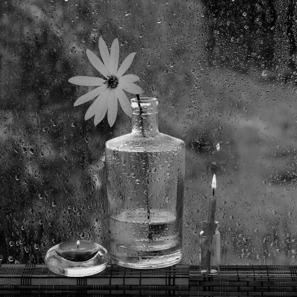 Без названия