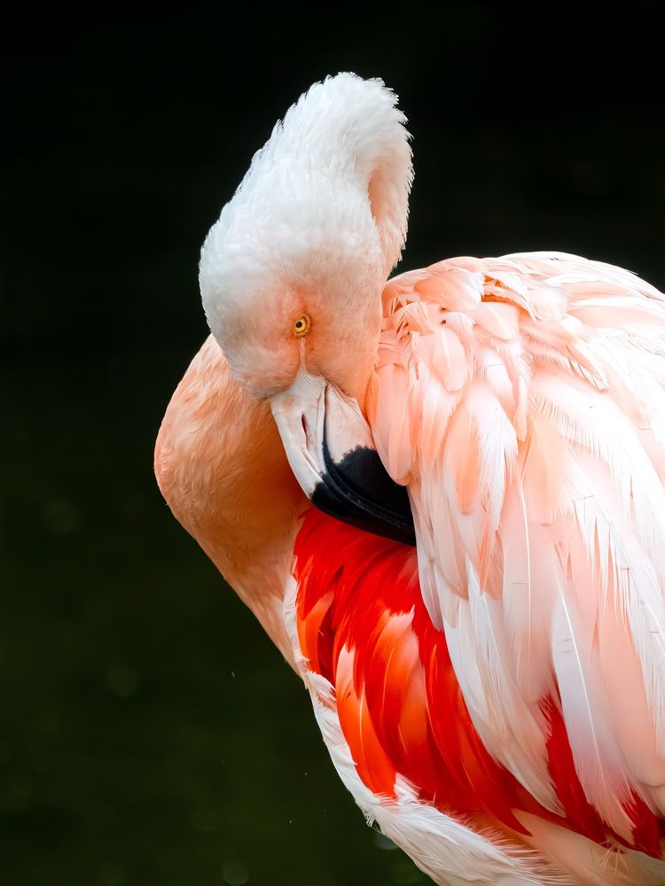 Photograph by Samfort