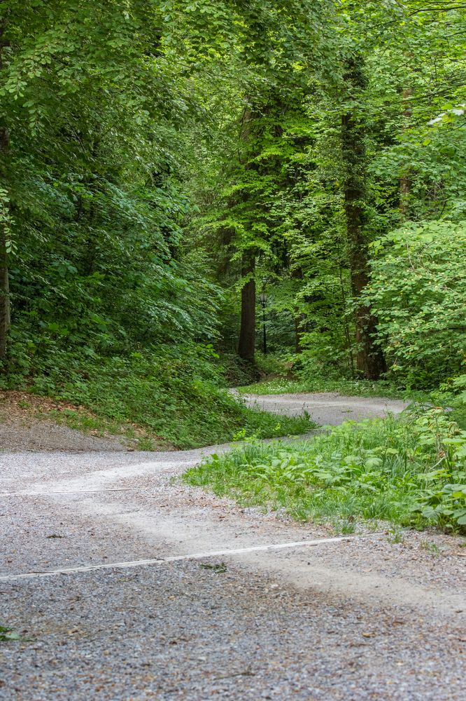 Photograph by Басалаев Евгений