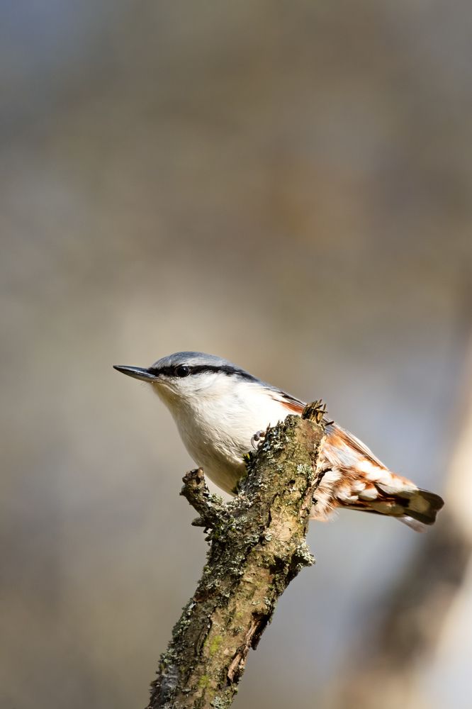 Photograph by Ольга