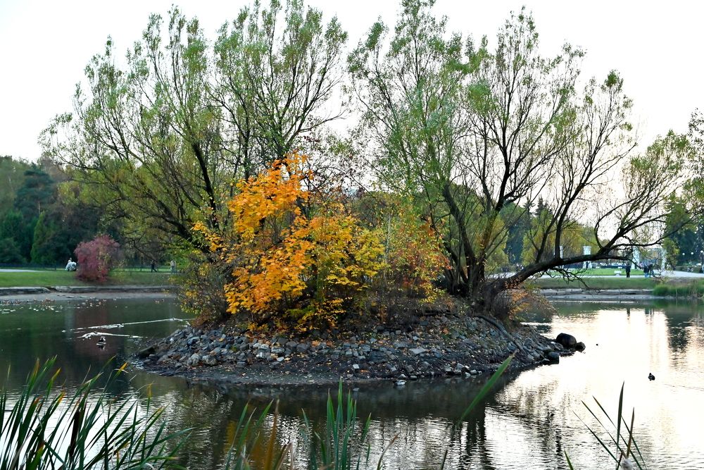 Photograph by Пётр Артемьев