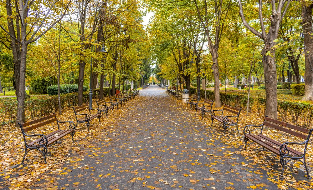 Photograph by Danail Dimov