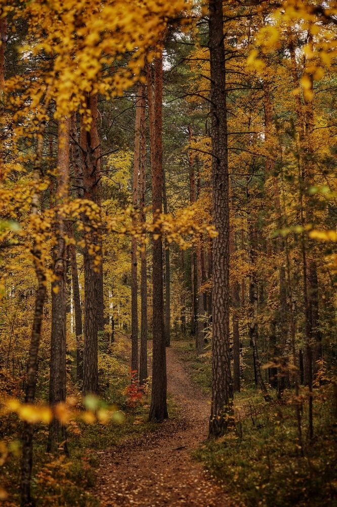 Photograph by Марина Киприна