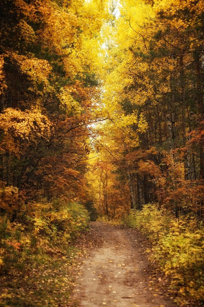 Photograph by Марина Киприна