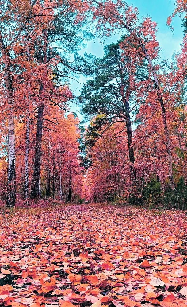 Photograph by Bin Mr.