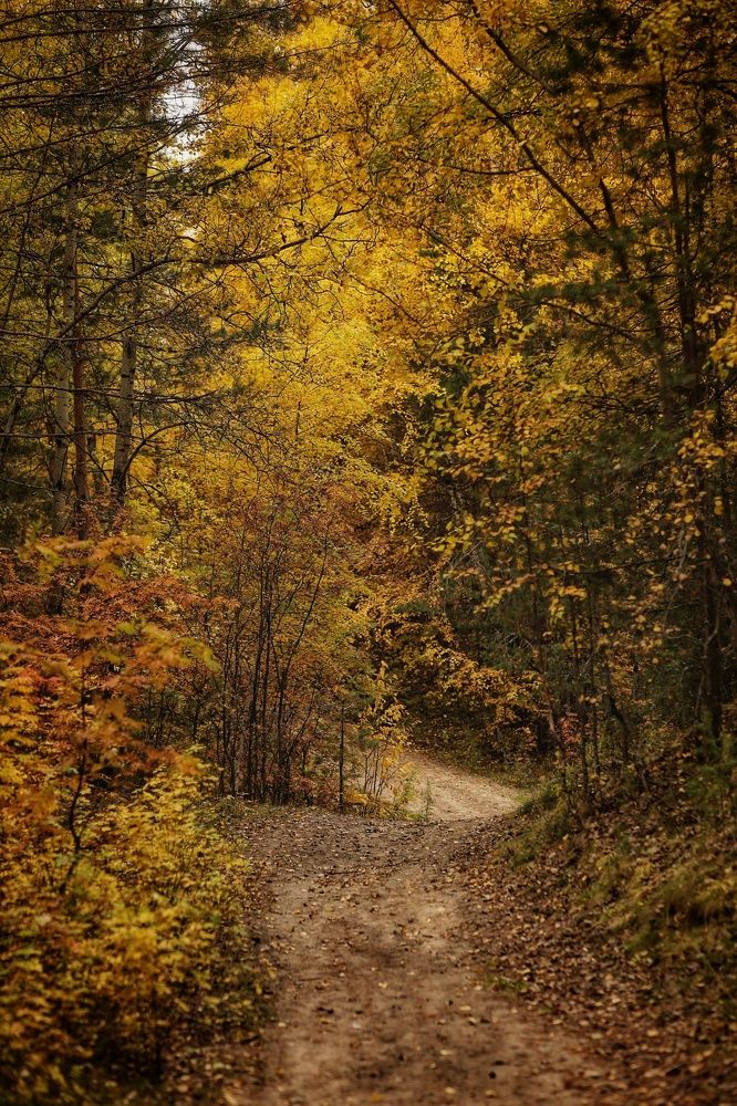 Photograph by Марина Киприна