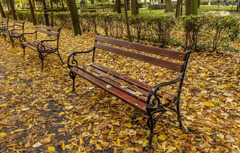 Photograph by Danail Dimov