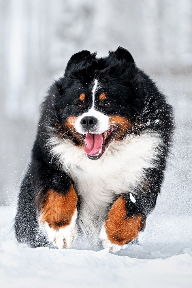 Photograph by Оксана Серова