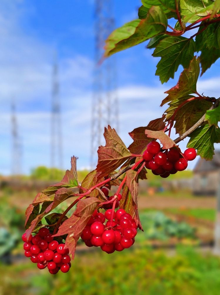 Photograph by Bin Mr.