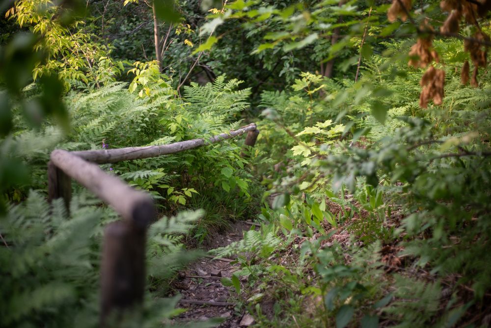 Фотография автора Бушенёв Михаил