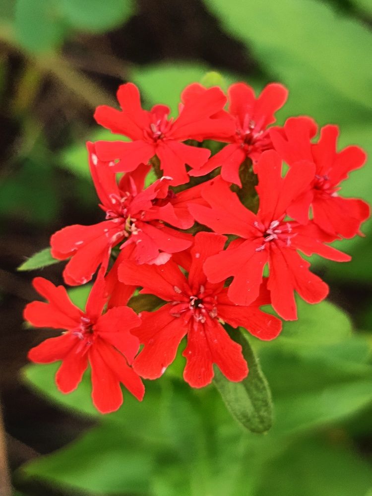 Photograph by Bin Mr.